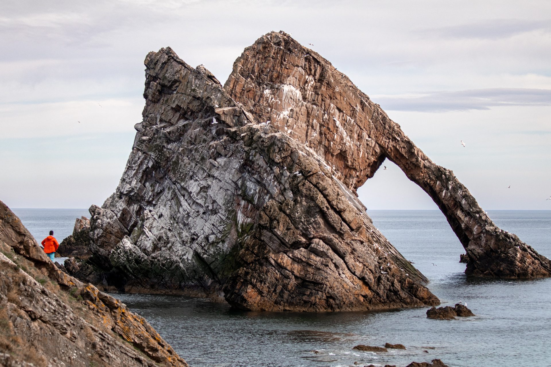 Bow Fiddle Rock, Moray coast